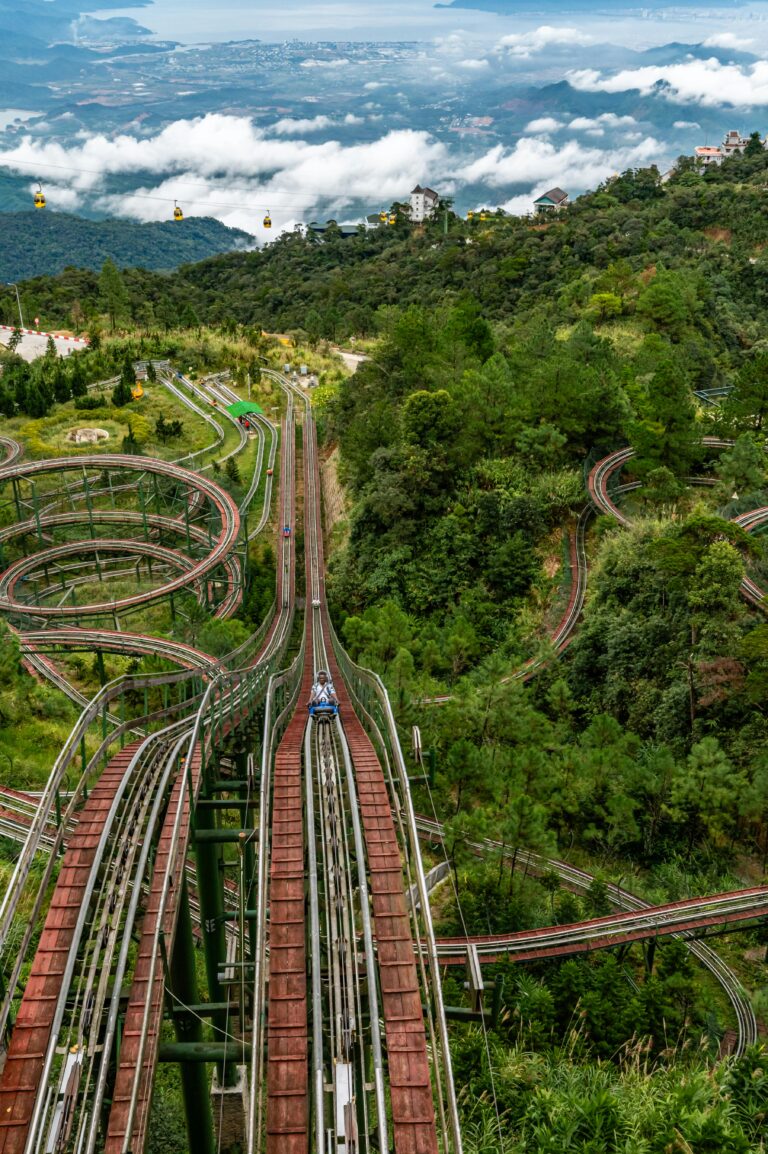counseling roller coaster