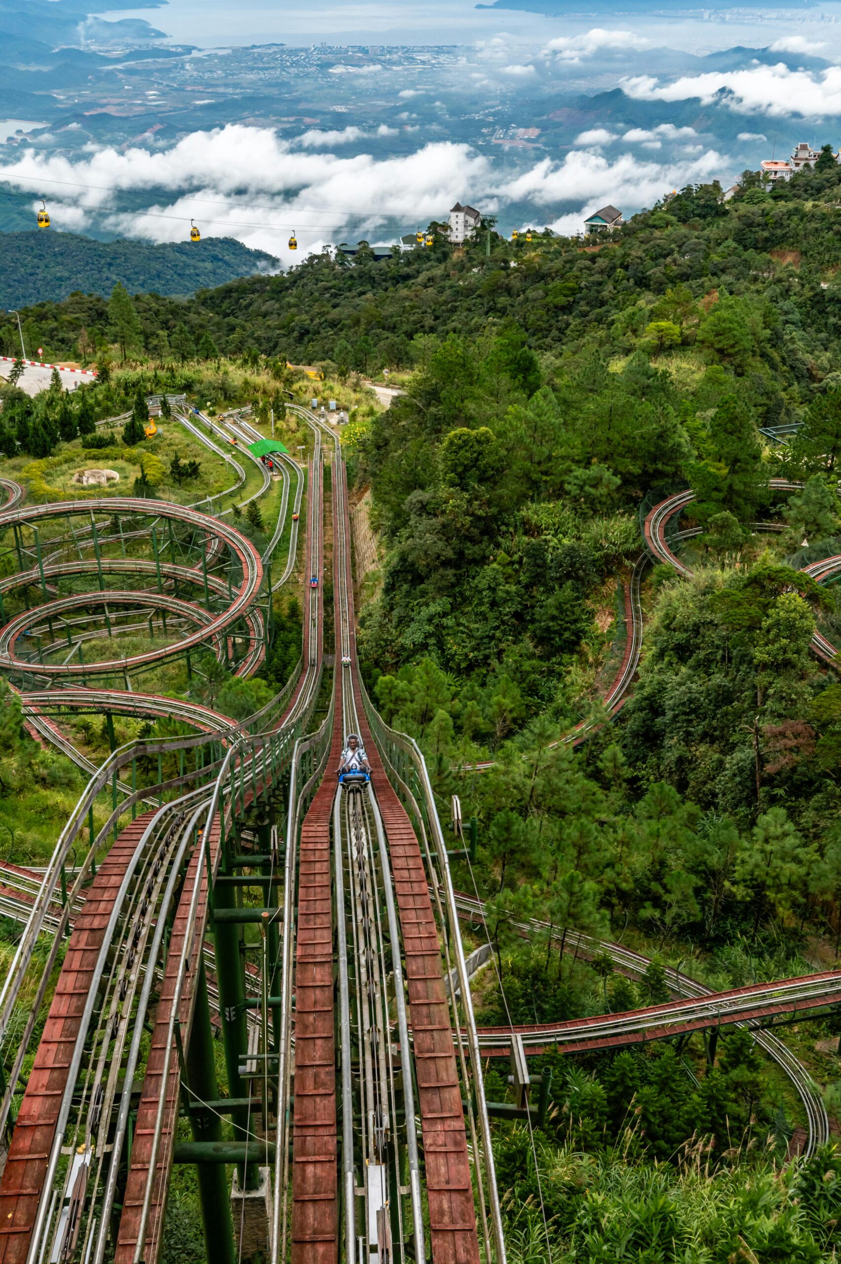 counseling roller coaster