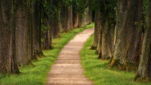 biblical Counseling path