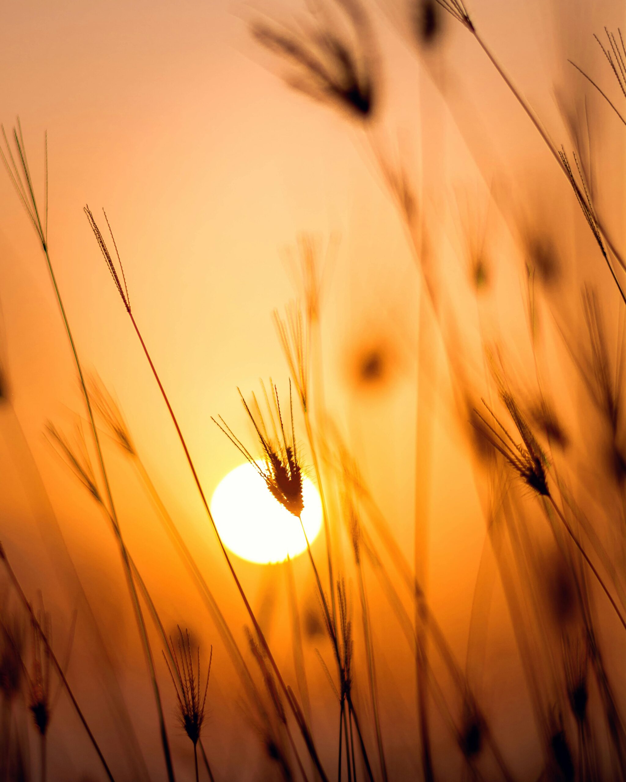 radiant hope