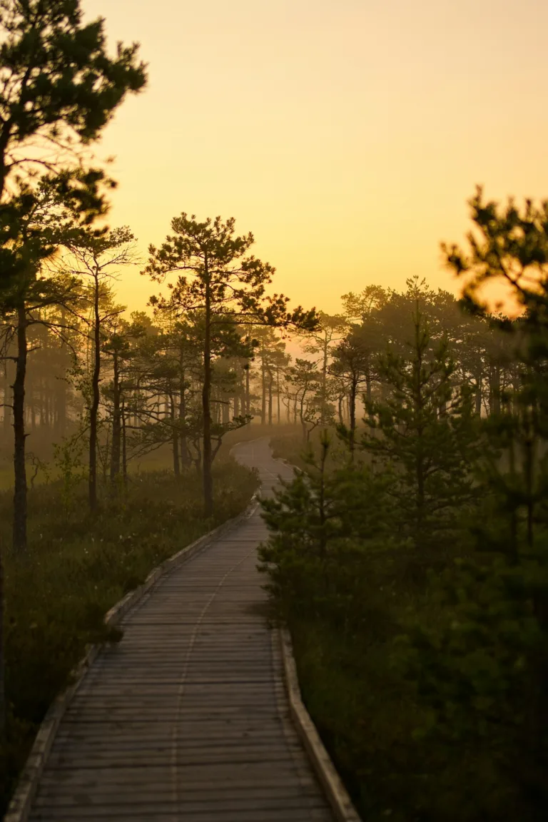 The Wisdom and Knowledge of God