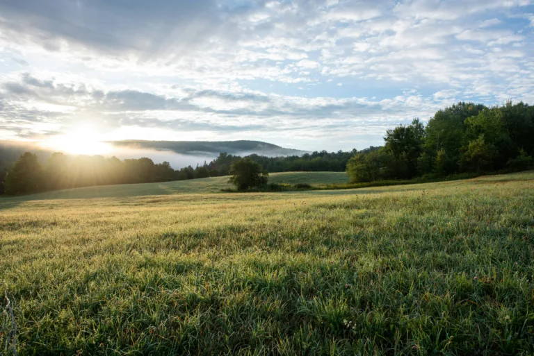 coming of your kingdom