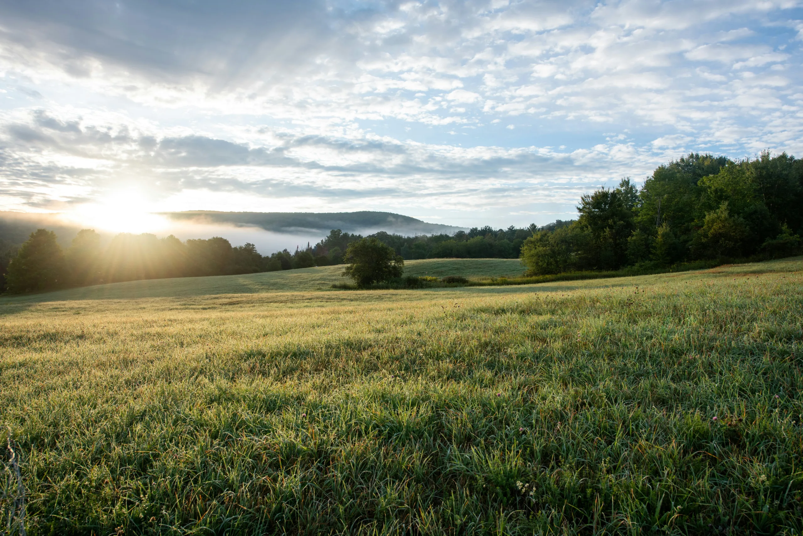 coming of your kingdom